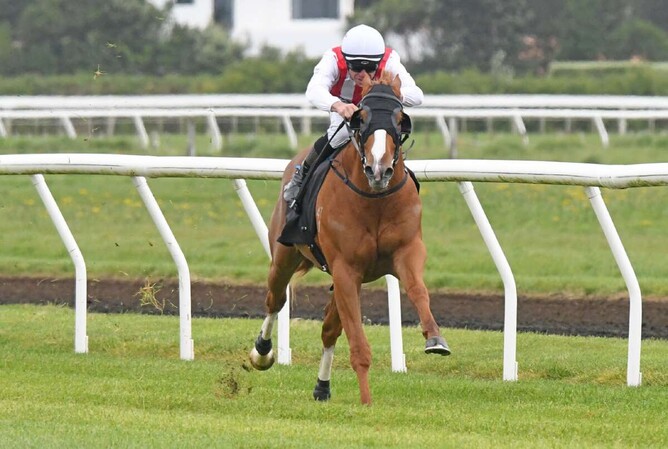 Poetic Champion surges home to provide young sire Super Seth with his first winner - Photo: Peter Rubery (Race Images Palmerston North)