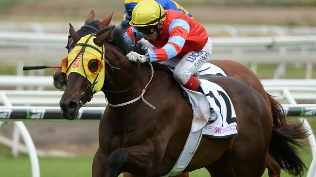 Cylinder Beach surged along the inside to win the Recognition Stakes. Picture: Grant Peters, Trackside Photography