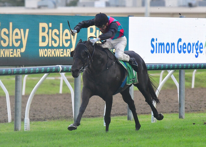 A top-class ride from Blake Shinn saw Antino win the Gr.2 Hollindale Stakes. - Photo: Grant Peters