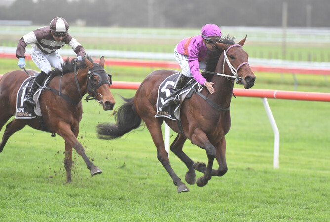 Platinum Diamond powers to victory in the Castletown Stakes at Otaki. - Photo: Peter Rubery (Race Images Palmerston North)