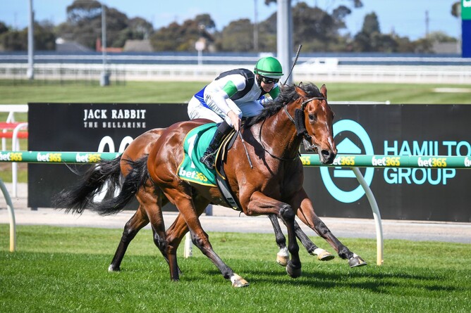 Tutukaka booked a Derby berth by winning Wednesday’s Listed Geelong Classic (2200m) Photo: Reg Ryan – Racing Photos