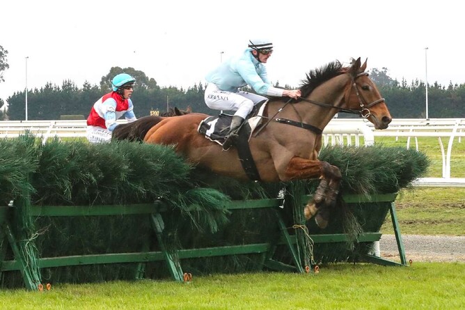 West Coast on his way to winning the Grand National Steeplechase (5600m) at Riccarton last Saturday.  - Photo: Race Images South