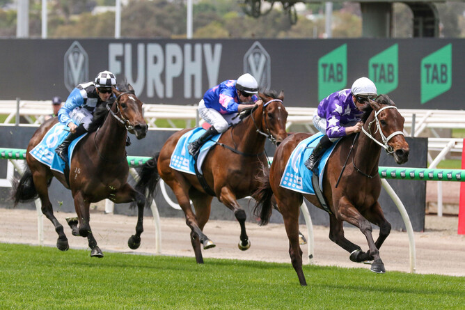 Aeliana wins the Gr.3 Channel 9 Carbine Club Stakes (1600m) at Flemington. - Photo: Bruno Cannatelli
