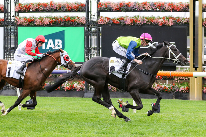 Keeneland winning the Listed ABC Bullion Super Impose Stakes (1800m) at Flemington - Photo: Bruno Cannatelli