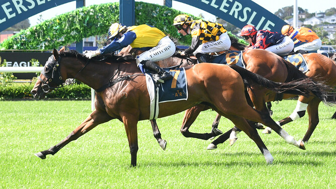 Blue Sky At Night finishes over the top of About Time to win the Eagle Technology Avondale Cup. - Photo: Kenton Wright (Race Images)