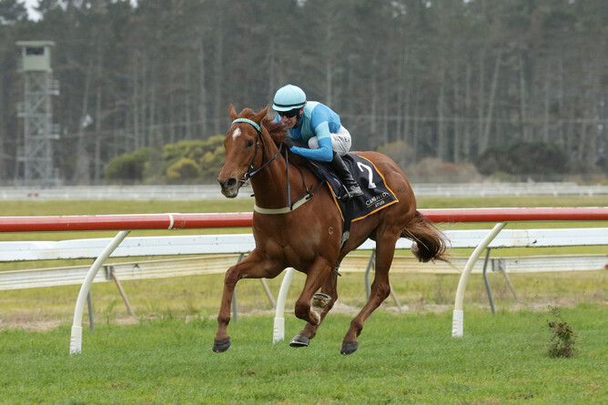 Crocetti remains unbeaten in a dominant Gr.3 Northland Breeders Stakes (1200m) victory at Ruakaka on Saturday. - Photo: Trish Dunell