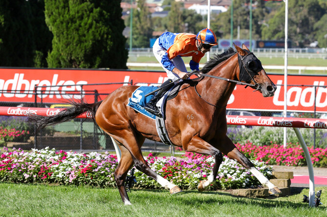 Grinzinger Belle wins Saturday’s A$300,000 Gr.2 Packaging Needs Sunline Stakes (1600m) at Moonee Valley. - Photo: Bruno Cannatelli