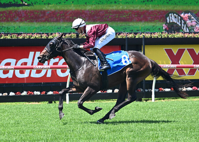 Dream Roca is Karaka Millions bound following her victory at Eagle Farm on Saturday. - Photo: Grant Peters