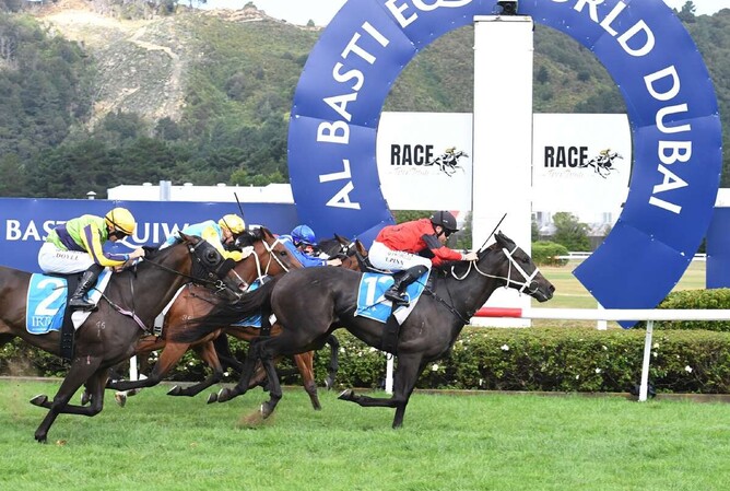 Vegas Queen winning the Gr.2 Wellington Guineas (1400m) at Trentham last Saturday.  - Photo: Peter Rubery (Race Images Palmerston North)