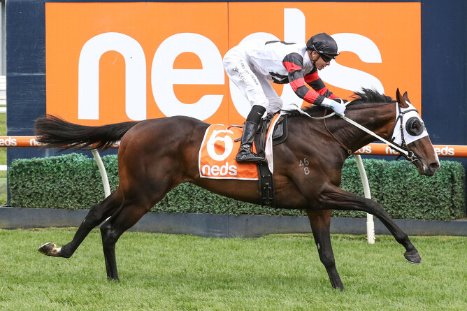 Gunstock is well clear as he takes out the Gr.3 Neds Classic (2000m) at Caulfield Photo Credit: Bruno Cannatelli