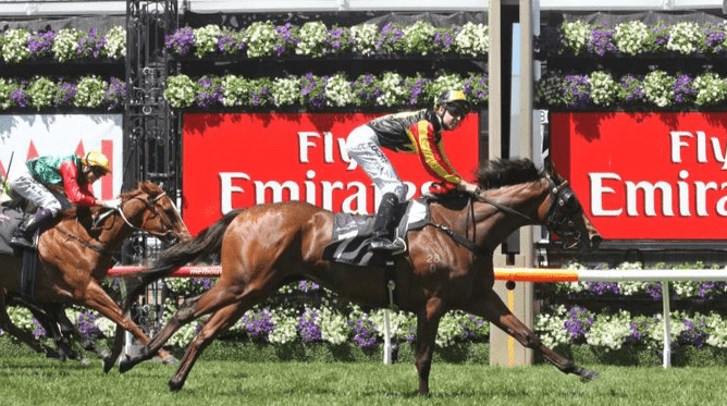 Kirramosa, a Group One-winning daughter of Alamosa, produced plenty of highlights for Wellfield Lodge.  - Photo: Bruno Cannatelli