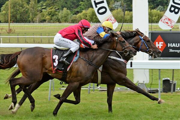 Iamishwara wins Hauniu Farm Weight For Age Classic 21-2-14 - Photo courtesy of Race Images