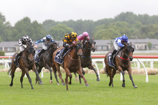 Polygon (Black & Yellow colours) proves too strong in the Gr.3 Lawnmaster Eulogy Stakes (1600m) - Photo: Trish Dunell
