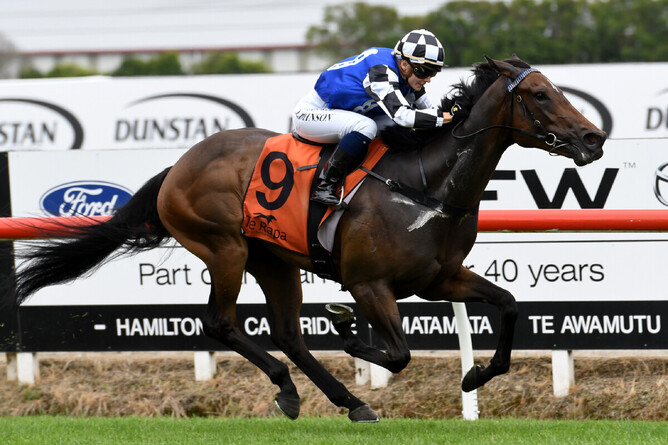 Danielle Johnson guides Wolverine to an outstanding victory in the Gr.2 Hiddenbed Wakefield Challenge Stakes (1100m) at Te Rapa Photo: Race Images – Kenton Wright