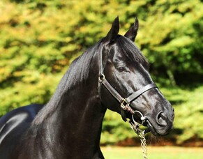 Hannah’s Blog - April 2016