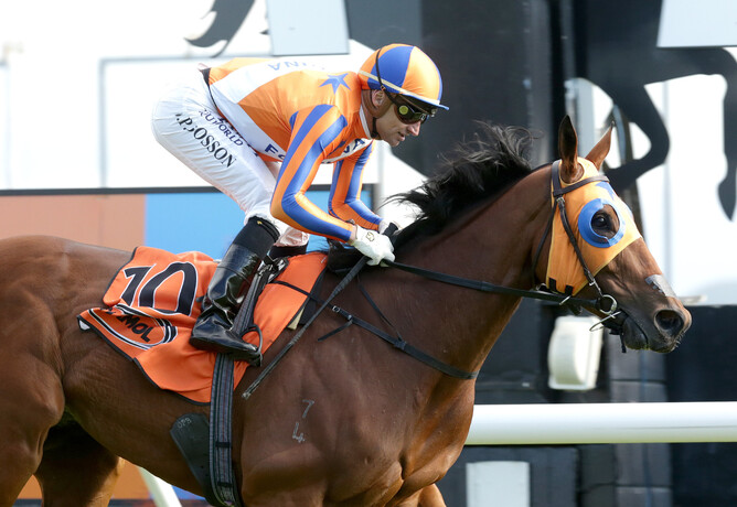 Melody Belle became the first horse to complete Hawke’s Bay’s weight-for-age Triple Crown  - Trish Dunell