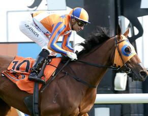 Melody Belle makes history in Livamol