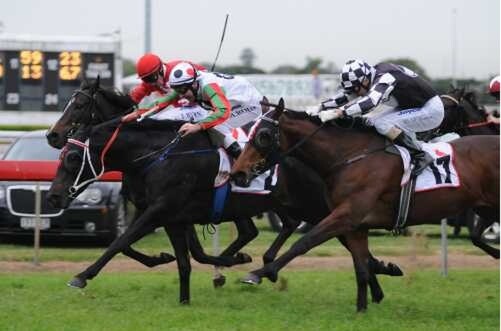 Shootoff (NZ) and Michael Rodd (centre) hold off Heidilicious (NZ) and Jim Byrne (inside) and Shez Sinsational (NZ) and Opie Bosson (outside) - Picture thoroughbrednews.com.au.