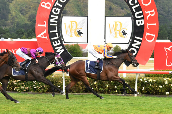 Amarelinha comfortably holds Charms Star at bay as she takes out the Gr.1 Al Basti Equiworld Dubai New Zealand Oaks (2400m) at Trentham Photo Credit: Race Images – Peter Rubery
