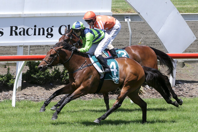 Yearn winning the Gr.2 Auckland Thoroughbred Breeders’ Stakes (1400m). Photo: Trish Dunell