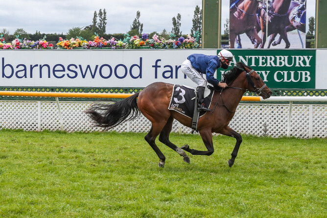 Grace’s Secret is well clear as she takes out the Listed Riccarton Park Function Centre Welcome Stakes (1000m) Photo Credit: Race Images South