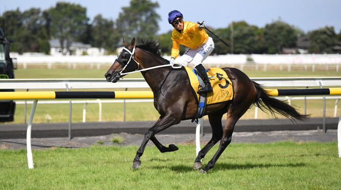 Michael McNab salutes after winning the Gr.3 Powerworx Taranaki Cup (1800m) aboard Vernanme Photo Credit: Race Images – Grant Matthew