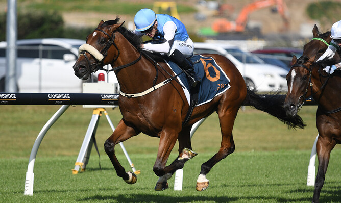 Renegade Rebel and Matt Cameron charge to Listed Gingernuts Salver (2100m) glory at Ellerslie on Sunday. - Photo: Kenton Wright (Race Images)