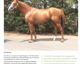 2020 First Season Sires- Sneaking To Win