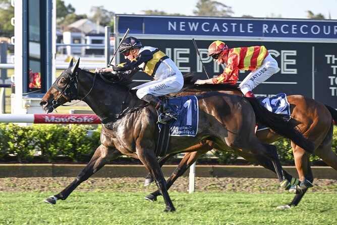 Here To Shock wins the A$250,000 Gr.3 Australian Bloodstock Cameron Handicap (1600m) at Newcastle. - Photo: bradleyphotos.com.au