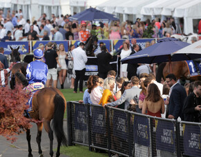 Draft racing calendar released