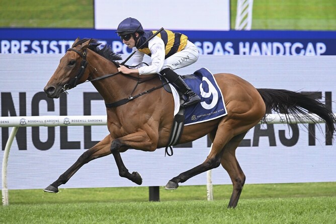 She's Unusual winning at Rosehill on Saturday.  - Photo: Bradleyphotos.com.au