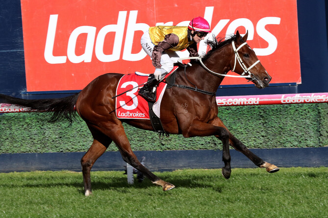 Tavirun on his way to winning at Caulfield on Saturday - Darryl Sherer