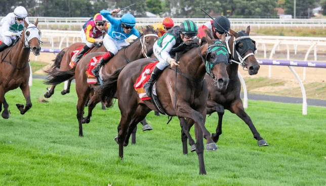 Captain Pluto kicks away to secure the A$150,000 Listed Bunbury Cup - Photo: Western Racepix