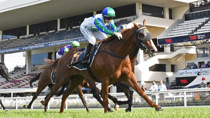 Sethito confirms her NZB Kiwi credentials with a lead-up victory in the Uncle Remus Stakes. - Photo: Kenton Wright (Race Images)