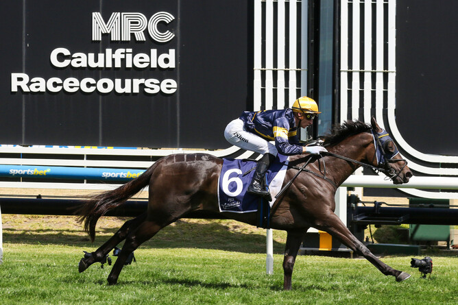 Coeur Volante dominates to claim third stakes win in the Gr.3 Mannerism Stakes (1400m) at Caulfield with Jockey Blake Shinn - Photo: Bruno Cannatelli