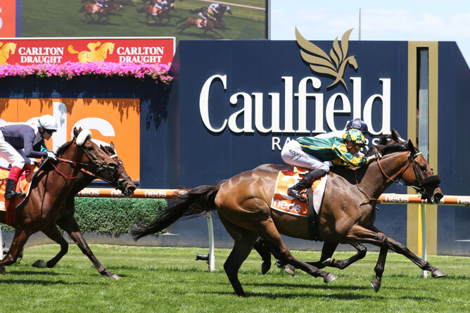 Dragon Storm gets the better of True Marvel to win the Listed Sandown Cup (3200m) Photo: Bruno Cannatelli