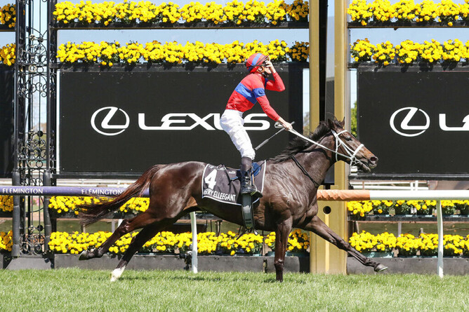 Verry Elleegant winning the Gr.1 Melbourne Cup (3200m).  - Photo: Bruno Cannatelli