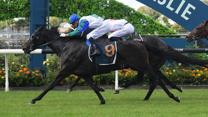 Certainly winning the Gr.3 Mufhasa Stakes (1400m) at Ellerslie on Saturday.   - Photo: Kenton Wright (Race Images)