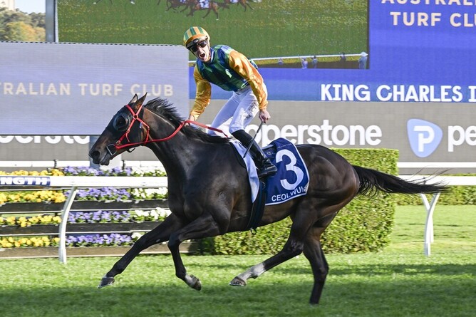 Ceolwulf winning his second Gr.1 King Charles III Stakes (1600m) at Randwick on Saturday.  - Photo: bradleyphotos.com.au