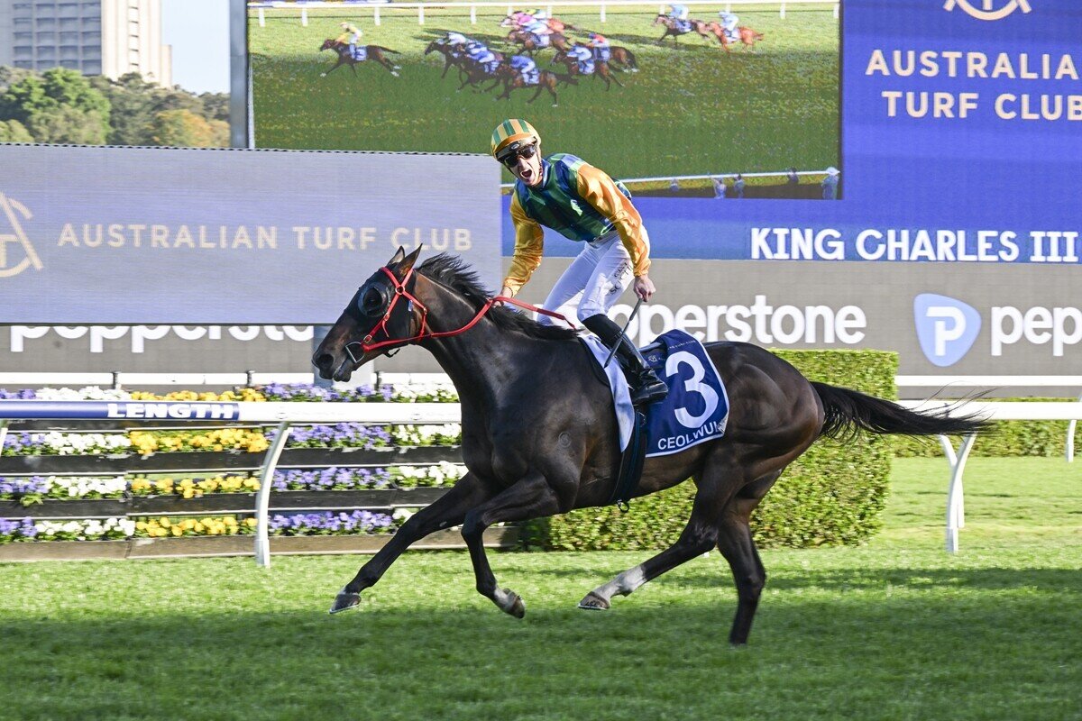 Regal performance ends day on high note | New Zealand Thoroughbred ...