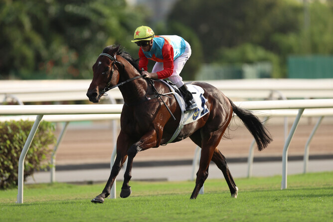 Hong Kong sprinting sensation Ka Ying Rising.   - Photo: HKJC