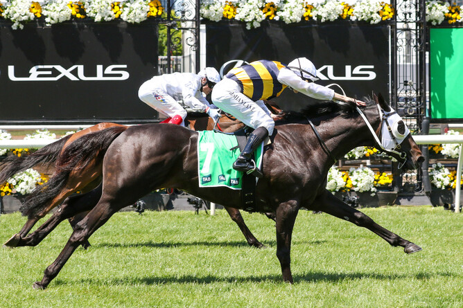 Warmonger (outside) narrowly prevails in the Listed TAB Trophy (1800m) at Flemington - Photo: Bruno Cannatelli