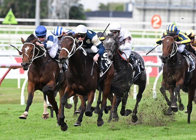 James McDonald drives Scarlet Oak (white cap) home to win the Gr.2 The Roses (2000m) at Doomben - Photo: Grant Peters, Trackside Photography