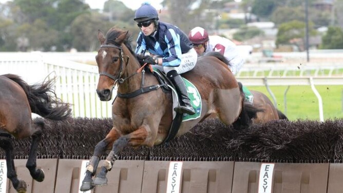 Flying Agent on his way to winning the Thackeray Steeplechase (3450m).  - Photo: Ross Holburt (Racing Photos)
