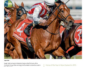 2020 New Season Sires- Super Seth