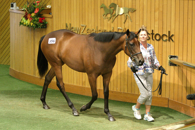 Montoyas Secret - Lot 356