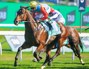 Hayes keen for another Everest tilt