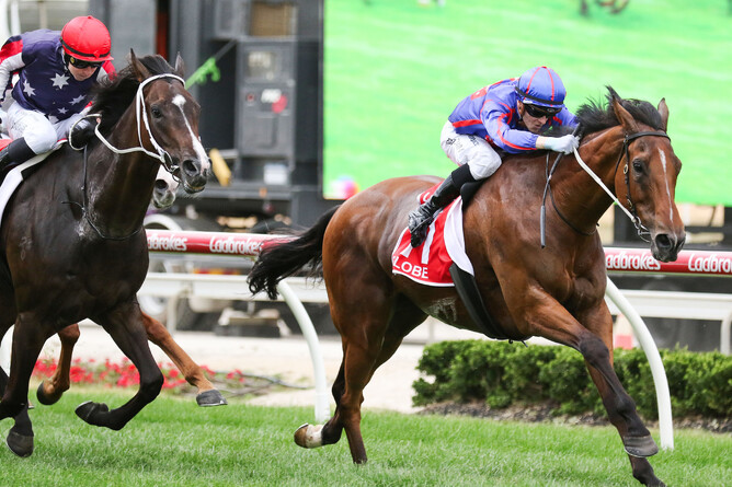 Globe wins the Listed Cranbourne Cup for jockey Ethan Brown. - Photo: Bruno Cannatelli