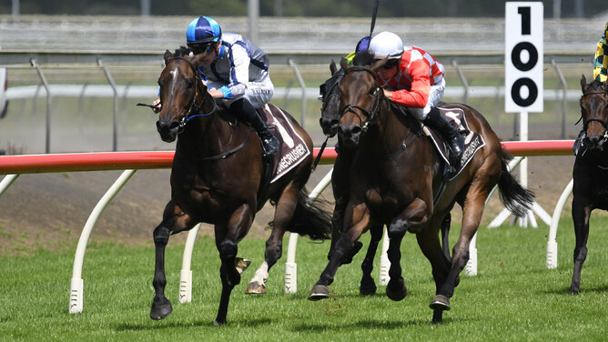 Lupo Solitario fought hard to better Orchestral in the Gr.3 Bonecrusher Stakes (1400m) at Pukekohe on Saturday. - Photo: Kenton Wright (Race Images)