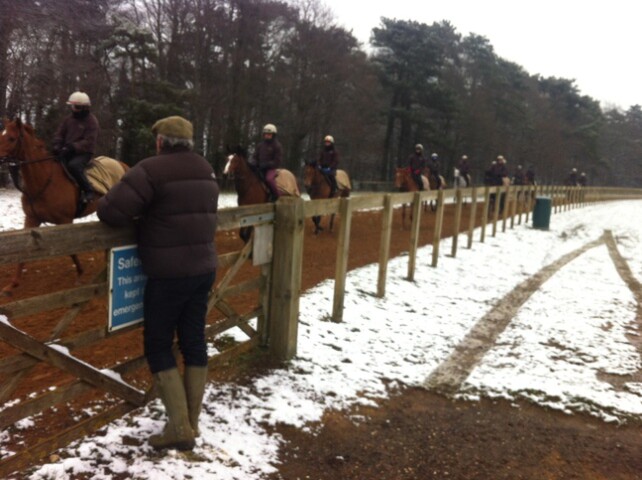 Luca checking the horses after their first canter up Warren Hill.